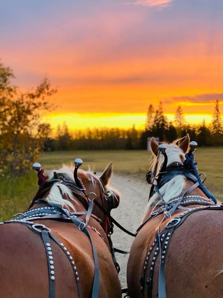 15 Fabulous Fall Activities in and Around Red Deer