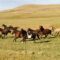 50 Amazing Things to Do in Parks and Natural Areas of Saskatchewan