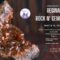 Regina Rock N' Gem Show25