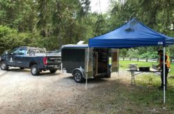 North Vancouver Park Closed After Black Bear Bites 10-Year-Old Girl