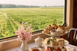 Ride, Dine, and Explore: Mother’s Day Train Trips in Ontario