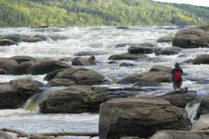 Explore Remote Regions of Alberta's Athabasca River With Grand Rapids Wilderness Adventures
