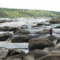 Explore Remote Regions of Alberta's Athabasca River With Grand Rapids Wilderness Adventures