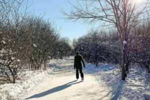Ottawa's 3.5 km Skating Trail Through Old-Growth Orchard is Now Open for 2025-26 Season