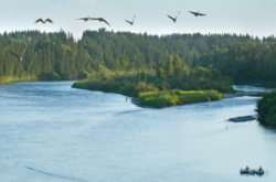 Lazy Float on the Red Deer River This Summer