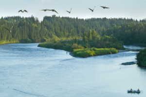 Lazy Float on the Red Deer River This Summer