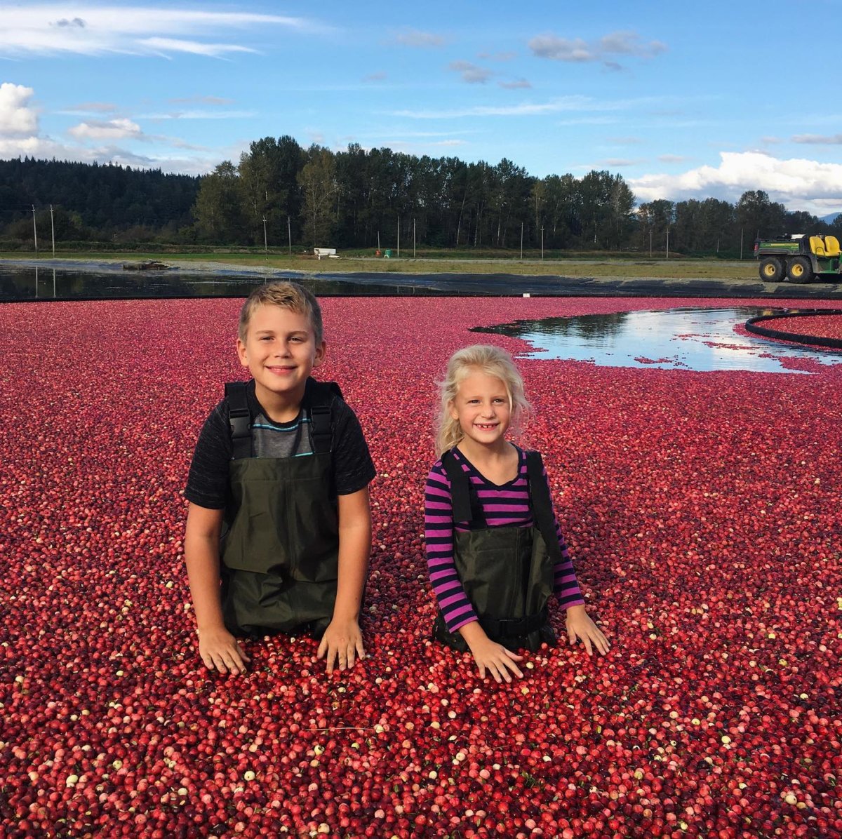Selfguided Tour of Riverside Cranberries