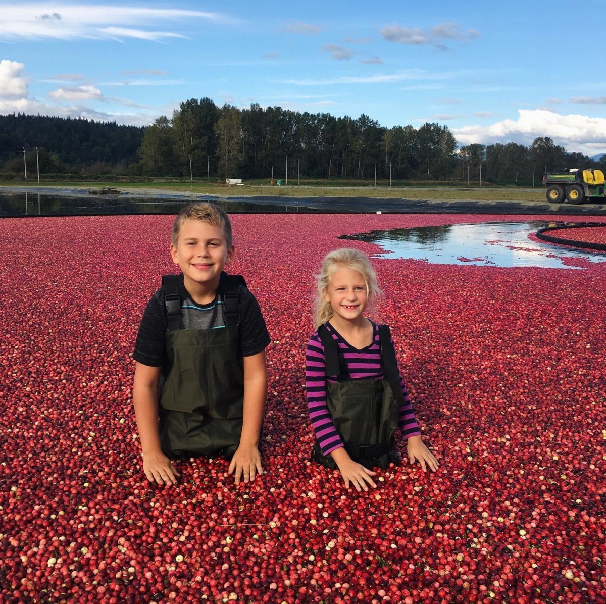 cranberry farm tours