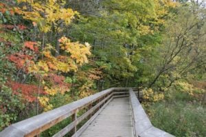 25 Things to Do During Fall in the Peel Region