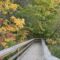 25 Things to Do During 2025 Fall in the Peel Region