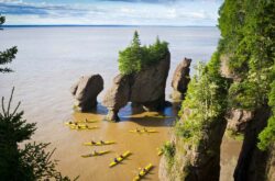 7 Day Road Trip Itinerary to New Brunswick - Fundy Coast: Moncton, Saint John, St Andrews and Fredericton