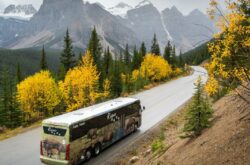 Larch Valley Hikes 2026: Reserve Bus Tickets Now to See Fall Colours Around Moraine Lake