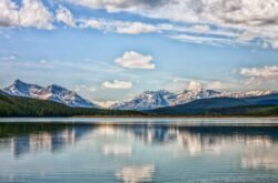 Rock Lake Provincial Park: Things to Do at This Hidden Gem Between Hinton and Jasper