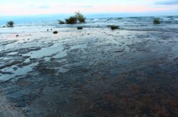 25 Day Trips for Spring from Toronto