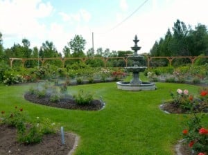 Rose Garden St Albert Botanic Park