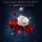 Rose show26