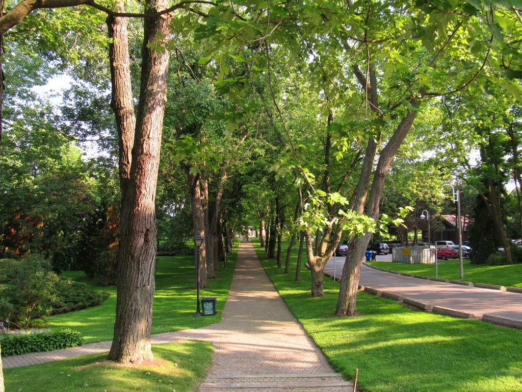 Rosetta McClain Gardens Parking