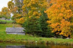 24 Fall Day Trips From Halifax