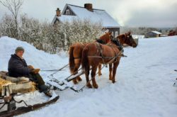 Outdoor Winter Adventures In and Around Halifax