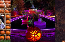 Great Pumpkin Trail 2025: Get Tickets For a Spooky Stroll Through Royal ‘Boo’tanical Gardens
