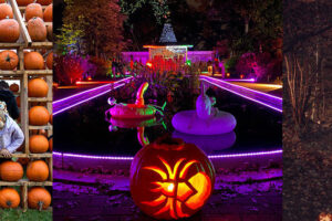 Great Pumpkin Trail 2025: Get Tickets For a Spooky Stroll Through Royal ‘Boo’tanical Gardens