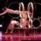 Royal Canadian International Circus Tours 12 Cities With An All New Lineup This Year