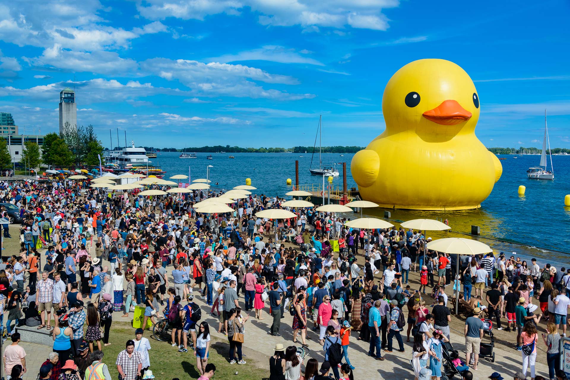 World's Largest Rubber Duck Returns to Toronto This Summer - 2023 | To Do  Canada