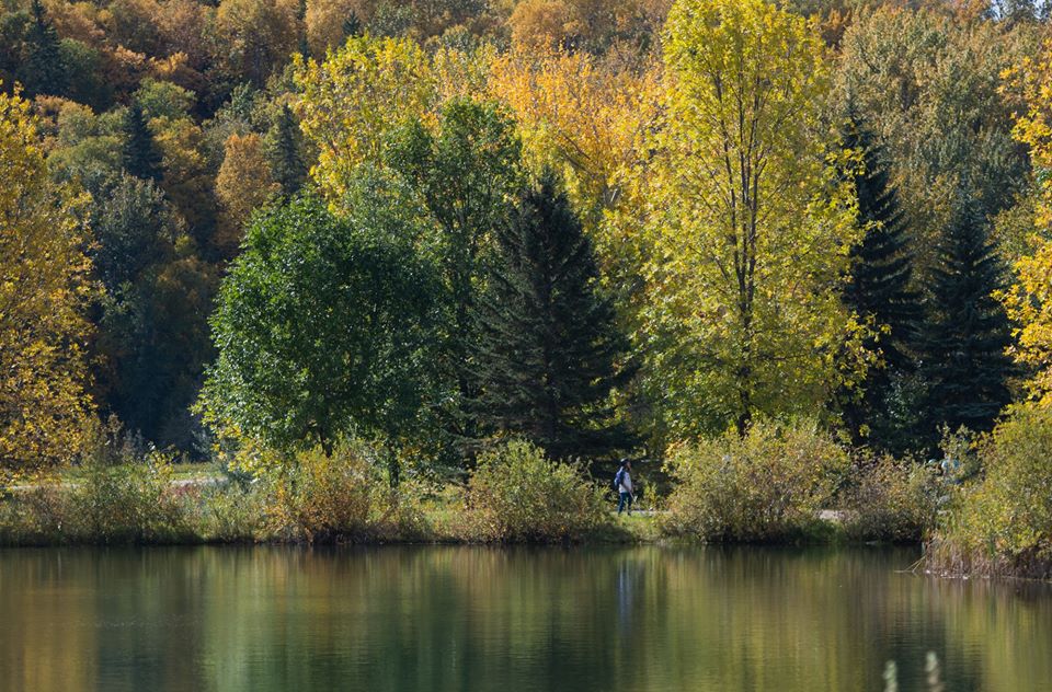 25 of the Best Hikes in and Around Edmonton