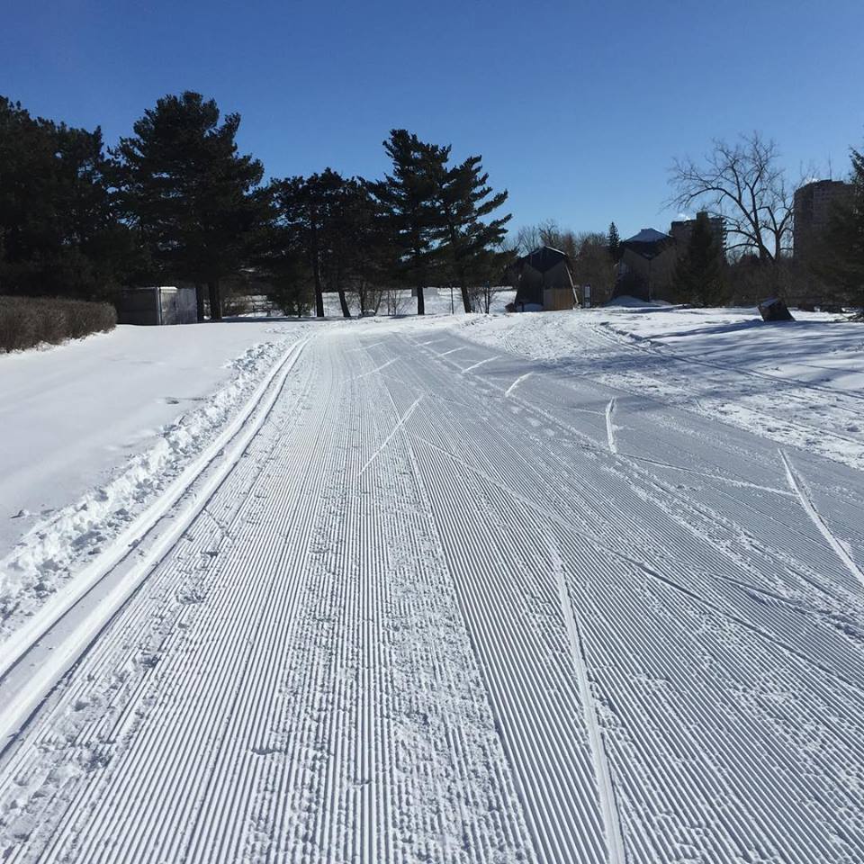 Valentine's Day in Ottawa