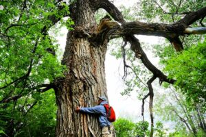 25 Must Visit Natural Wonders in Saskatchewan