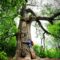 25 Must Visit Natural Wonders in Saskatchewan