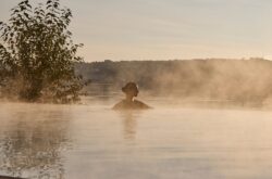 World Spa Awards 2026: These Are Canada’s Top Spa and Wellness Retreats
