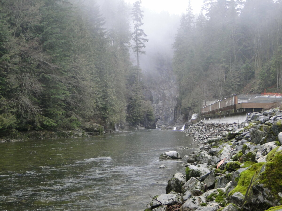 Places to See Salmon Run Around Metro Vancouver