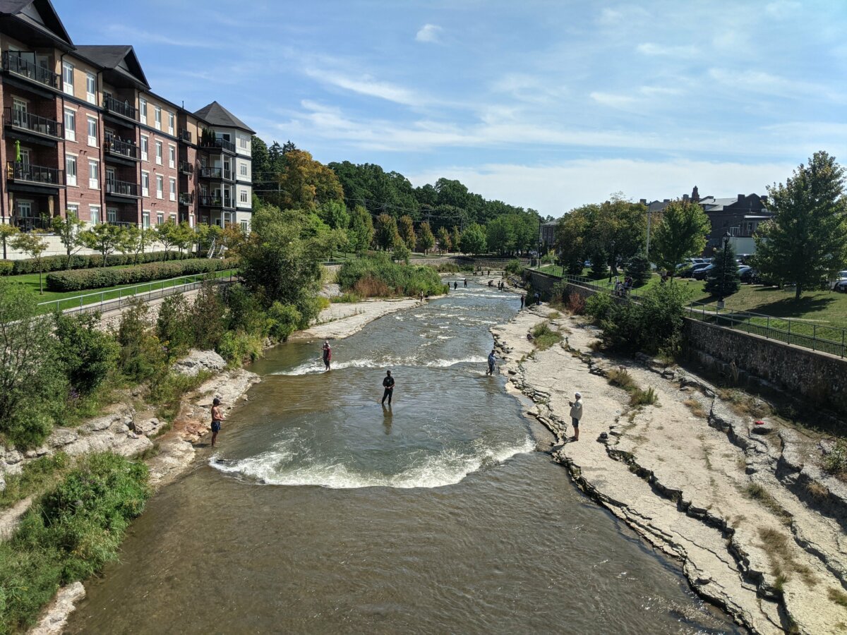 ganaraska fish ladder camera