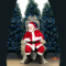 Santa at Confederation Mall