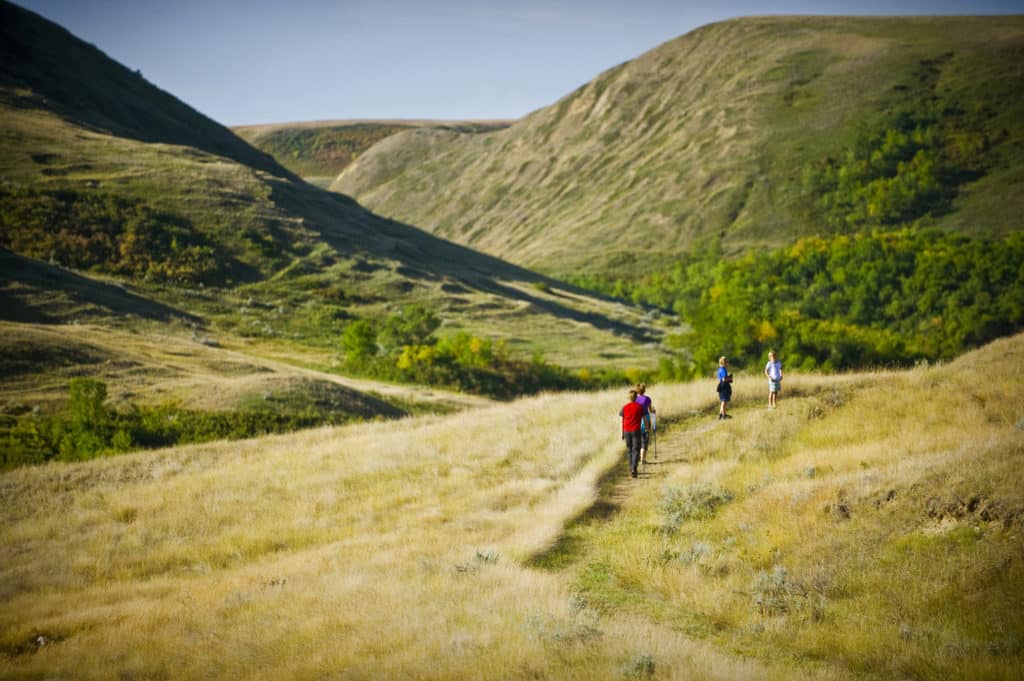 Things to Do in Lake Diefenbaker