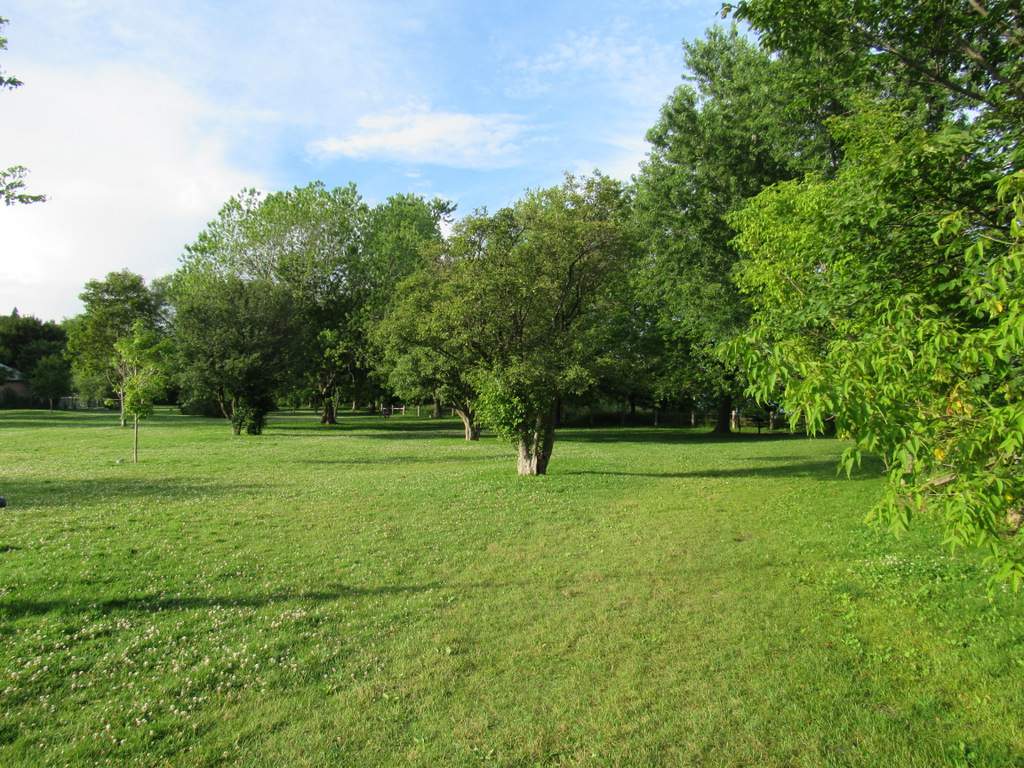 ScarboroughBluffsParkgreen