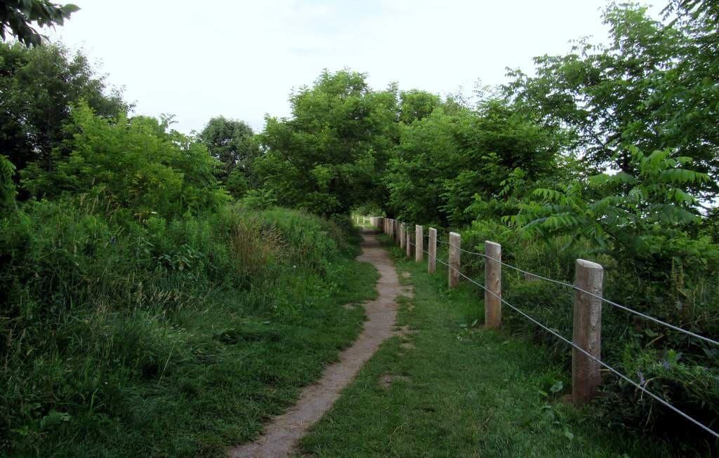 Scarborough Bluffs Park