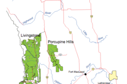 Off-Highway Vehicle Recreation Opportunities in South West Alberta