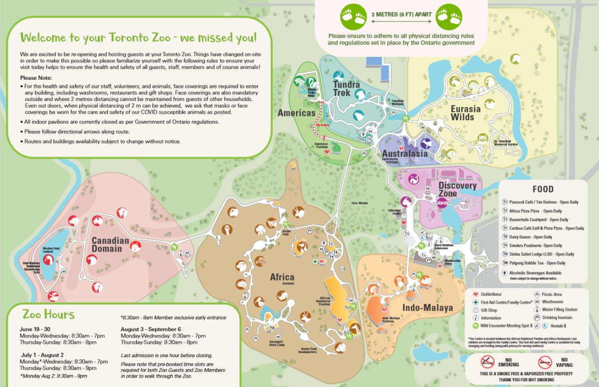 Toronto Zoo To Reopen To The Public On June 19th To Do Canada