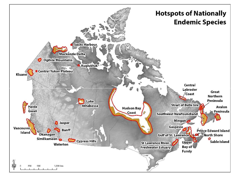 Nature Conservancy of Canada Releases List of 308 Animals and Plants that Only Exist in Canada | To Do Canada Nature Conservancy of Canada Releases List of 308 Animals and Plants that Only Exist in Canada | To Do Canada