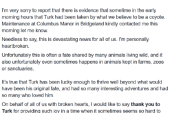 Calgary’s Beloved Ramsay Turk May Have Been Taken By a Coyote