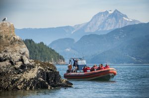 Sea Safari in the Fjord of Howe Sound