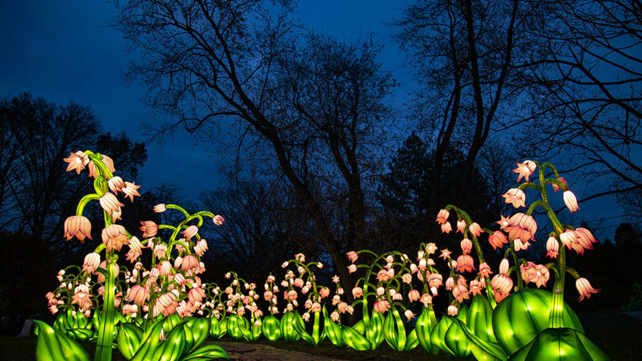 Lantern light outlet festival coupon