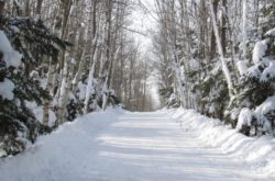 15 Places to Go Winter Walking in Halifax