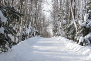 15 Places to Go Winter Walking in Halifax
