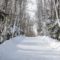 15 Places to Go Winter Walking in Halifax