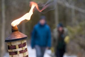 Explore Sibbald Point Provincial Park Near Toronto After Dark With Fire and Stars Torch-Lit Hikes