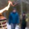 Explore Sibbald Point Provincial Park Near Toronto After Dark With Fire and Stars Torch-Lit Hikes