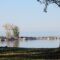 Sibbald Point: Top Adventures to Make Best of Your Trip to the Provincial Park in York Region